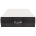 Modway Aveline 12" Memory Foam Twin Mattress