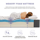 Modway Aveline 12" Memory Foam Full Mattress