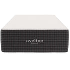 Modway Aveline 14" Memory Foam Twin Mattress