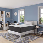 Modway Aveline 14" Memory Foam Full Mattress