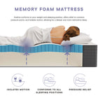 Modway Aveline 14" Memory Foam Queen Mattress