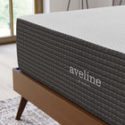 Modway Aveline 14" Memory Foam Queen Mattress