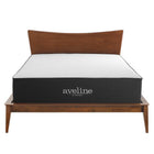 Modway Aveline 14" Memory Foam King Mattress