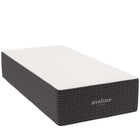 Modway Aveline 16" Memory Foam Twin Mattress  
