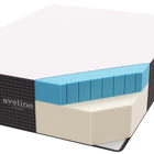 Modway Aveline 16" Memory Foam Queen Mattress