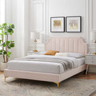Modway Sienna Performance Velvet Queen Platform Bed - Gold Metal Legs