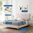 Modway Current Performance Velvet Full Platform Bed - Gold Metal Legs
