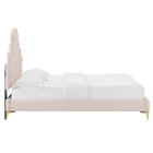 Modway Gwyneth Tufted Performance Velvet Full Platform Bed -  Gold Metal Legs