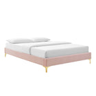Modway Amber Performance Velvet Queen Platform Bed - Gold Metal Legs