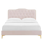 Modway Amber Performance Velvet Queen Platform Bed - Gold Metal Legs