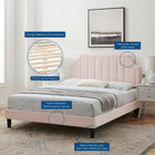 Modway Sienna Performance Velvet Twin Platform Bed - Black Wood Legs
