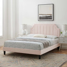 Modway Sienna Performance Velvet Twin Platform Bed - Black Wood Legs