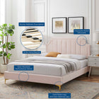 Modway Sienna Performance Velvet Full Platform Bed - Gold Metal Legs