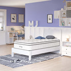 Modway Jenna 12" Innerspring and Foam Twin Mattress