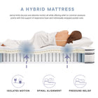 Modway Jenna 12" Innerspring and Foam King Mattress