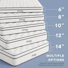 Modway Jenna 12" Innerspring and Foam King Mattress