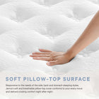 Modway Jenna 12" Innerspring and Foam King Mattress