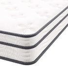 Modway Jenna 6" Innerspring and Foam Twin Mattress
