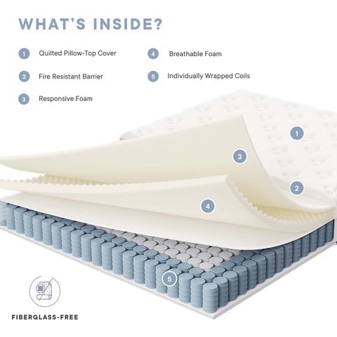 Modway Jenna 6" Innerspring and Foam Queen Mattress  