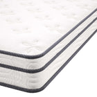 Modway Jenna 6" Innerspring and Foam Queen Mattress