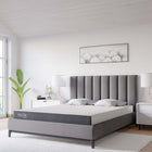 Modway Mila 5" Queen Mattress