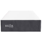 Modway Mila 12" Twin Mattress