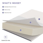 Modway Mila 12" California King Mattress