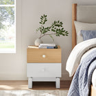 Modway Nolia 2-Drawer Color Block Nightstand