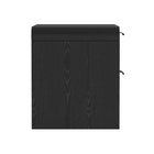 Manhattan Comfort Grace Modern 28" Nightstand in Black (2-Drawer)