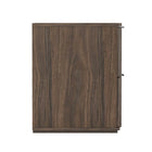 Manhattan Comfort Clive Mid-Century Modern 22" Nightstand in Walnut and Black (2-Drawer)