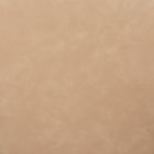 Zuo Silues Dining Chair (Set of 2) Taupe & Brown