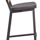 Zuo Ardenne Counter Stool (Set of 2) Black & Brown