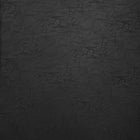 Zuo Halaus Accent Chair Black