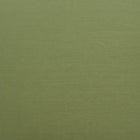 Zuo Rio Dining Chair (Set of 2) Green