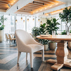 Zuo Domo Dining Chair Ivory