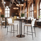 Zuo Freesia Counter Stool (Set of 2) White