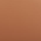 Zuo Rorun Dining Chair (Set of 4) Brown