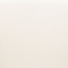 Zuo Jolie Dining Chair (Set of 2) Ivory