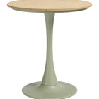 Zuo Oswego Bistro Table Green
