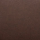 Zuo Pola Counter Stool Brown
