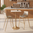 Zuo Desi Barstool (Set of 2) Beige & Gold