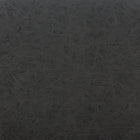 Zuo Charon Dining Chair (Set of 2) Vintage Black