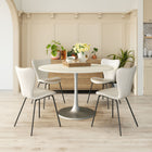 Zuo Torlo Dining Chair (Set of 2) White