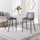 Zuo Magnus Counter Stool (Set of 2) Dark Gray & Black
