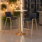 Zuo Desi Barstool (Set of 2) Black & Gold