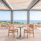 Zuo Mizuya Dining Chair Brown