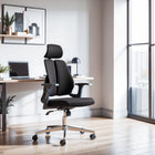 Zuo Genric Office Chair Black