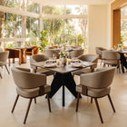 Zuo Poise Dining Chair Brown & Walnut