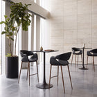 Zuo Limay Barstool Black & Walnut
