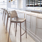 Zuo Ace Barstool (Set of 2) Brown & Walnut